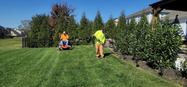 10 conseils pratiques pour un entretien de jardin efficace