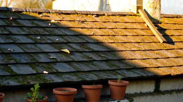 5 conseils pour un démoussage de toiture efficace à Plessé